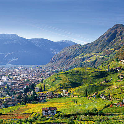 Weinreise Südtirol 2024